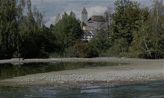 Seedamm Rapperswil