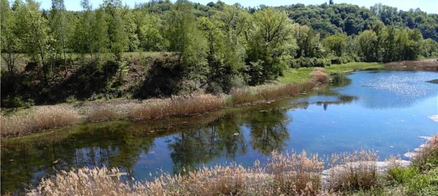 Altlauf der Rhone südwestlich von Genf (Teppes de Verbois)